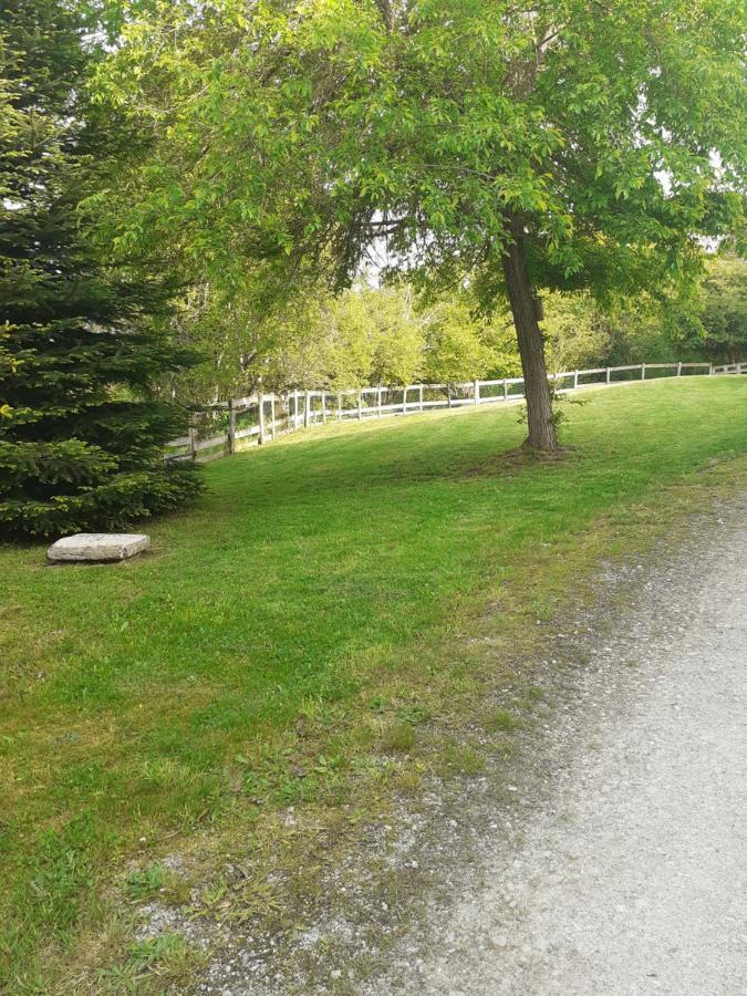 Auverg'Nature Chambre Auvergnate Espinasse Exterior foto